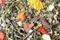 JR Farm Grainless Mix Zwergkaninchen, 650g Vorschaubild