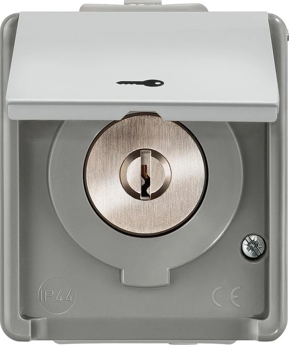 Siemens DELTA fläche IP44 Jalousie-Schlüsselschalter, dunkelgrau/hellgrau