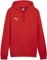 Puma teamGOAL 23 Hoodie (Herren) Vorschaubild