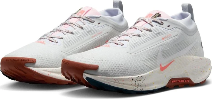 Nike Pegasus Trail 5 Gore-Tex pure platinum/football grey/pink foam/white (Herren)
