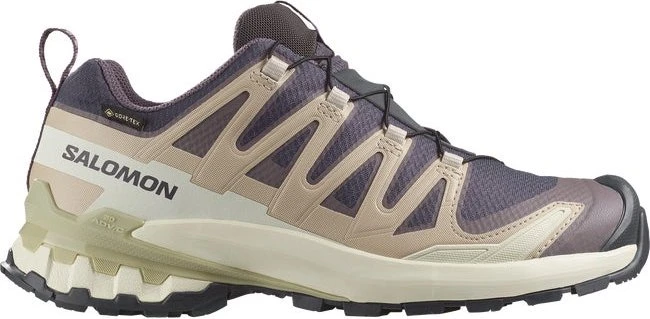 Salomon XA Pro 3D V9 GTX nine iron/oxford tan/alfalfa (Damen)
