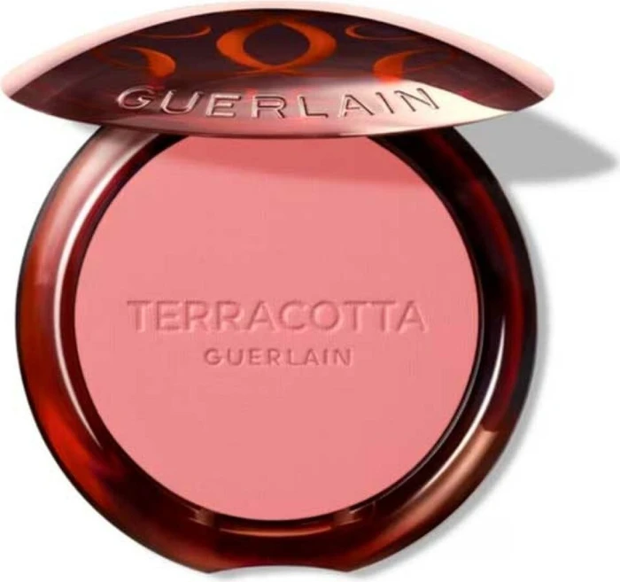 Guerlain Terracotta Terracotta Healthy Glow Blush Rouge