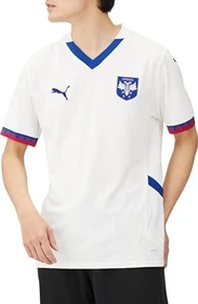 Puma UEFA EURO 2024 Serbien Auswärtstrikot (Herren)