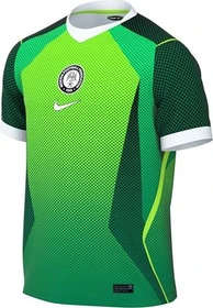 Nike Nigeria 2026 Heimtrikot kurzarm pine green/electric green/white (Herren)