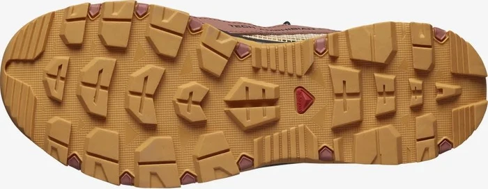 Salomon Techamphibian 5 cedar wood/buckskin/rose cloud (Damen)