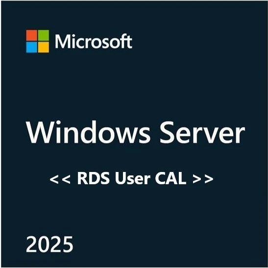 Microsoft Windows Remote Desktop Services 2025, 1 User CAL (multilingual) (PC)