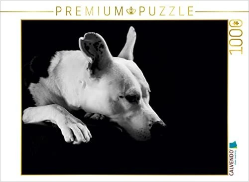 Calvendo Cheyenne - American Stafford x Dogo Argentino-Mix, 2 Jahre