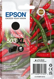 Epson Tinte 503XL schwarz