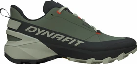 Dynafit Transalper 2 GTX black out/thyme (Herren)