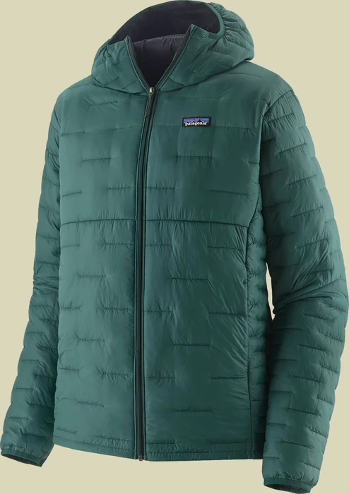 Patagonia Micro Puff Hoody Funktionsjacke cascade green (Herren)