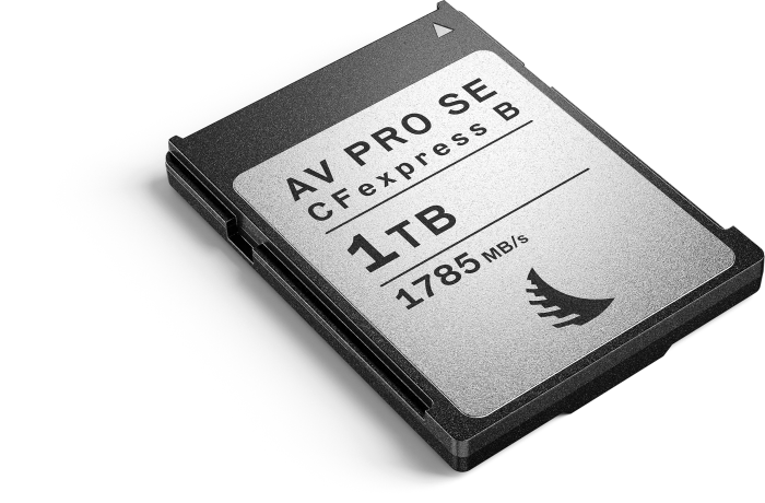 Angelbird AV PRO SE CFexpress R1785/W1550 CFexpress 2.0 Type B 1TB