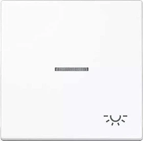 Jung Serie LS Wippe mit Lichtleiter Symbol Licht 1fach, alpinweiß