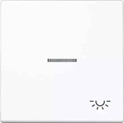 Jung Serie LS Wippe mit Lichtleiter Symbol Licht 1fach, alpinweiß
