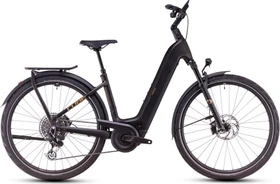 Cube Kathmandu Hybrid SLT 800 Easy Entry golddust'n'black Modell 2025