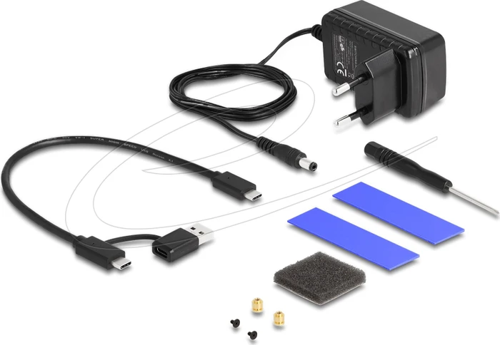 DeLOCK Externes Gehäuse mit Klon Funktion, M.2/2.5", USB-C 3.1