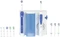 Oral-B Professional Care 3000 Center Vorschaubild
