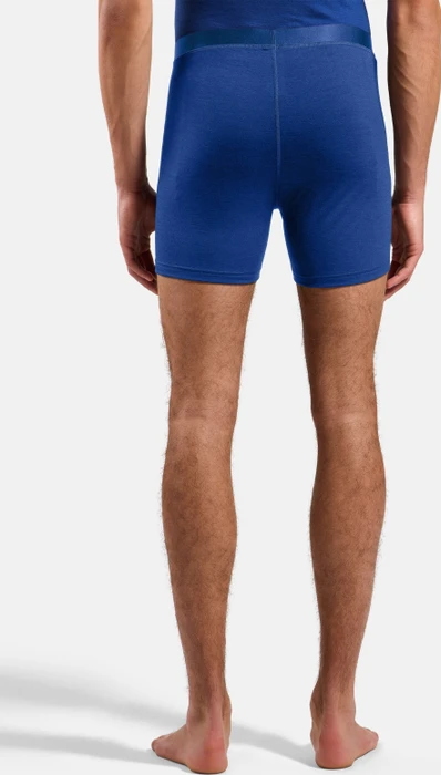 Odlo Natural Merino 160 Boxer Briefs dazzling blue (Herren)
