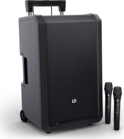 LD Systems Anny 12 HHD2 B5