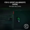 Razer Gigantus V2 Pro, 500x480mm, Max Speed, schwarz Vorschaubild