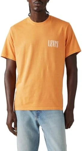 Levi's Relaxed Fit Graphic T-Shirt kurzarm serif logo/golden nugget (Herren)