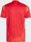 adidas Tiro 24 Competition Spieler Trikot kurzarm team power red 2/app solar red (Herren) Vorschaubild