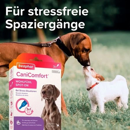 beaphar CaniComfort Spot-On, Pheromon, 3ml