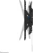 Neomounts WL35-750BL14 Vorschaubild