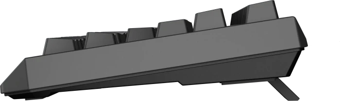 Genesis Thor 230 TKL Wireless, schwarz, LEDs RGB, hot-swap, Outemu Panda, USB/Bluetooth, US