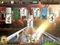 Zombie Solitaire (PC) Vorschaubild