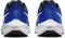 Nike Air Zoom Pegasus 39 racer blue/black/anthracite/white (Herren) Vorschaubild