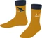 Falke Dinosaurs Socken (Junior) Vorschaubild