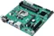 ASUS Prime B250M-C (Intel 1151) Vorschaubild
