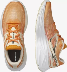 Salomon Aero Glide orange pepper/bleached sand/white (Herren)