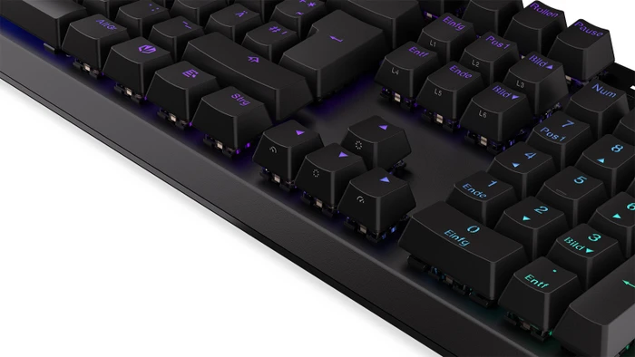 Endorfy Thock, PBT, LEDs RGB, Kailh RED, USB, DE