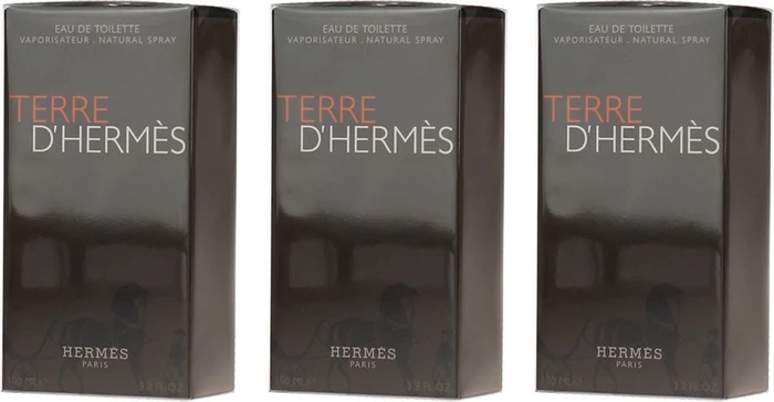 Hermès Terre d'Hermès Eau de Toilette nachfüllbar, 100ml