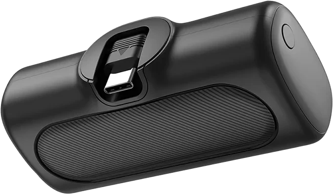 LogiLink Powerbank 2x USB-C 5000mAh schwarz