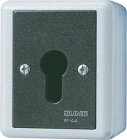 Jung WG 800 Schlüsselschalter 10A 250V