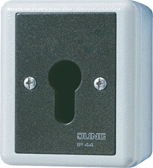 Jung WG 800 Schlüsselschalter 10A 250V
