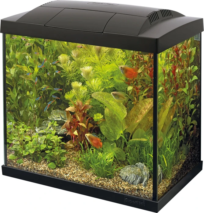SuperFish Start 30 Tropical Kit, schwarz, 25l