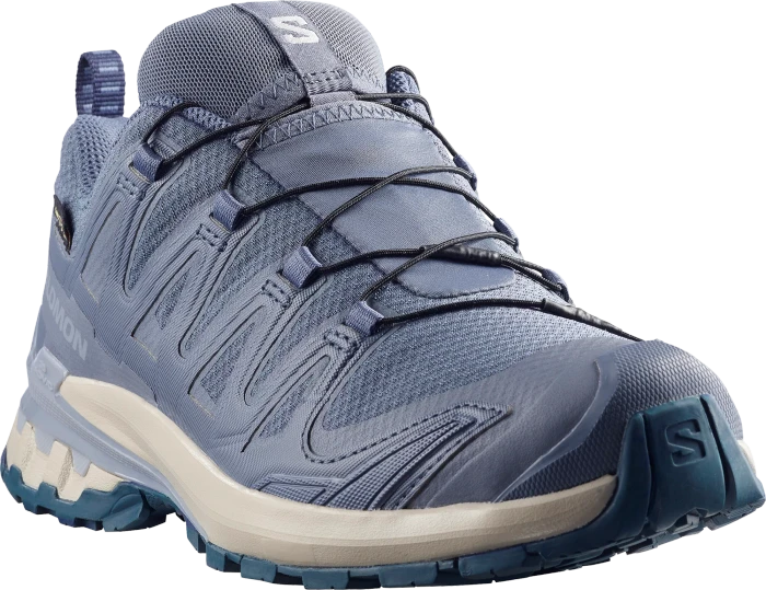 Salomon XA Pro 3D V9 GTX grisaille/tradewinds/spellbound (Damen)