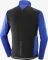 Salomon Gore-Tex Infinium Windstopper Funktionsjacke surf the web (Herren) Vorschaubild