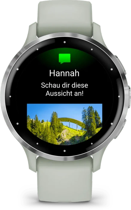 Garmin Venu 3S silver/sage grey