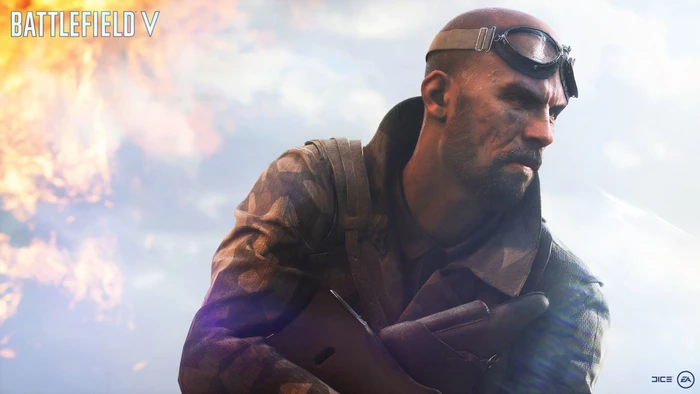 Battlefield V (PC)