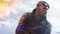 Battlefield V (PC) Vorschaubild