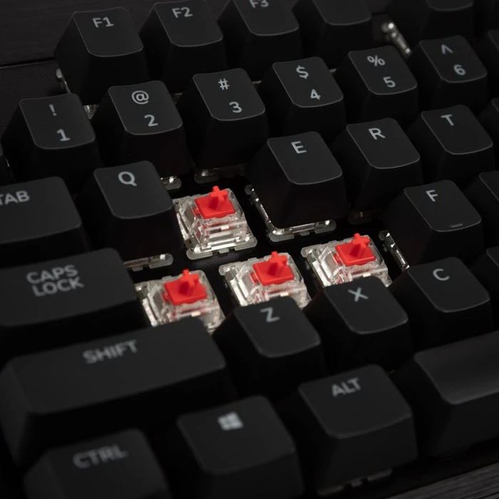 Mountain Everest Core Midnight Black, TKL, LEDs RGB, Gunmetal Gray, MX RGB RED, USB, US