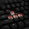 Mountain Everest Core Midnight Black, TKL, LEDs RGB, Gunmetal Gray, MX RGB RED, USB, US Vorschaubild