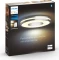 Philips Hue White Ambiance Being alu Vorschaubild