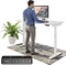 Ergotopia Desktopia One Vorschaubild