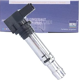 Beru ZSE030