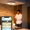 Philips Hue White Ambiance Still alu Vorschaubild